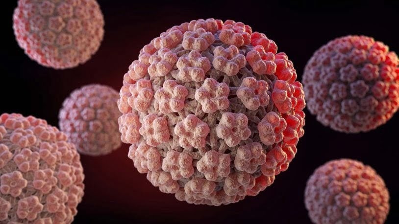 ویروس پاپیلوما انسانی(HPV)