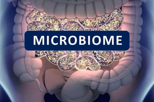 microbiome milad daru